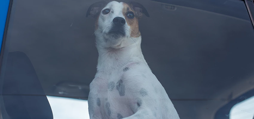 Car Lockout Solutions in Sierra Madre, California